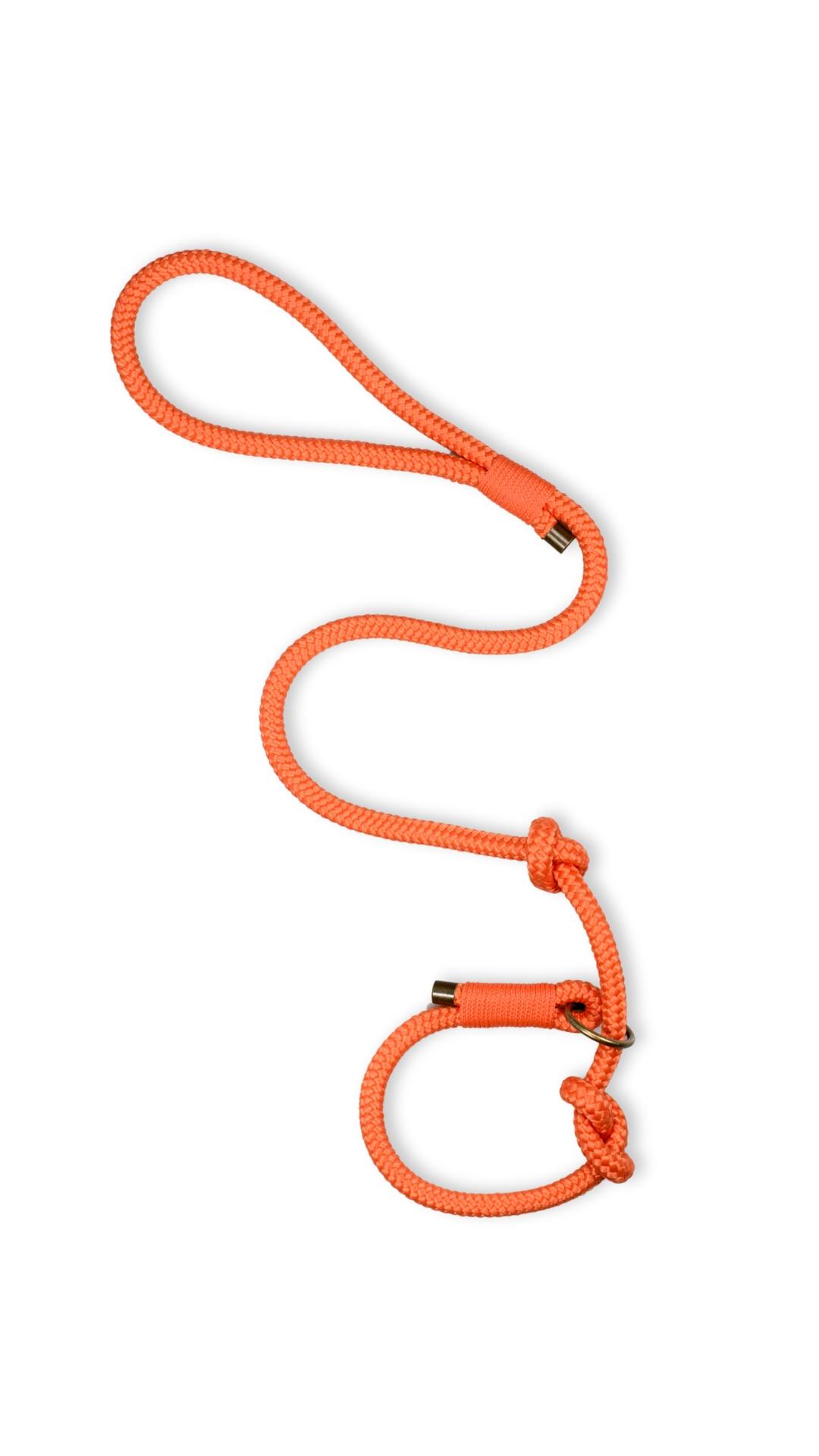 Smycz treningowa behawioralna Orange