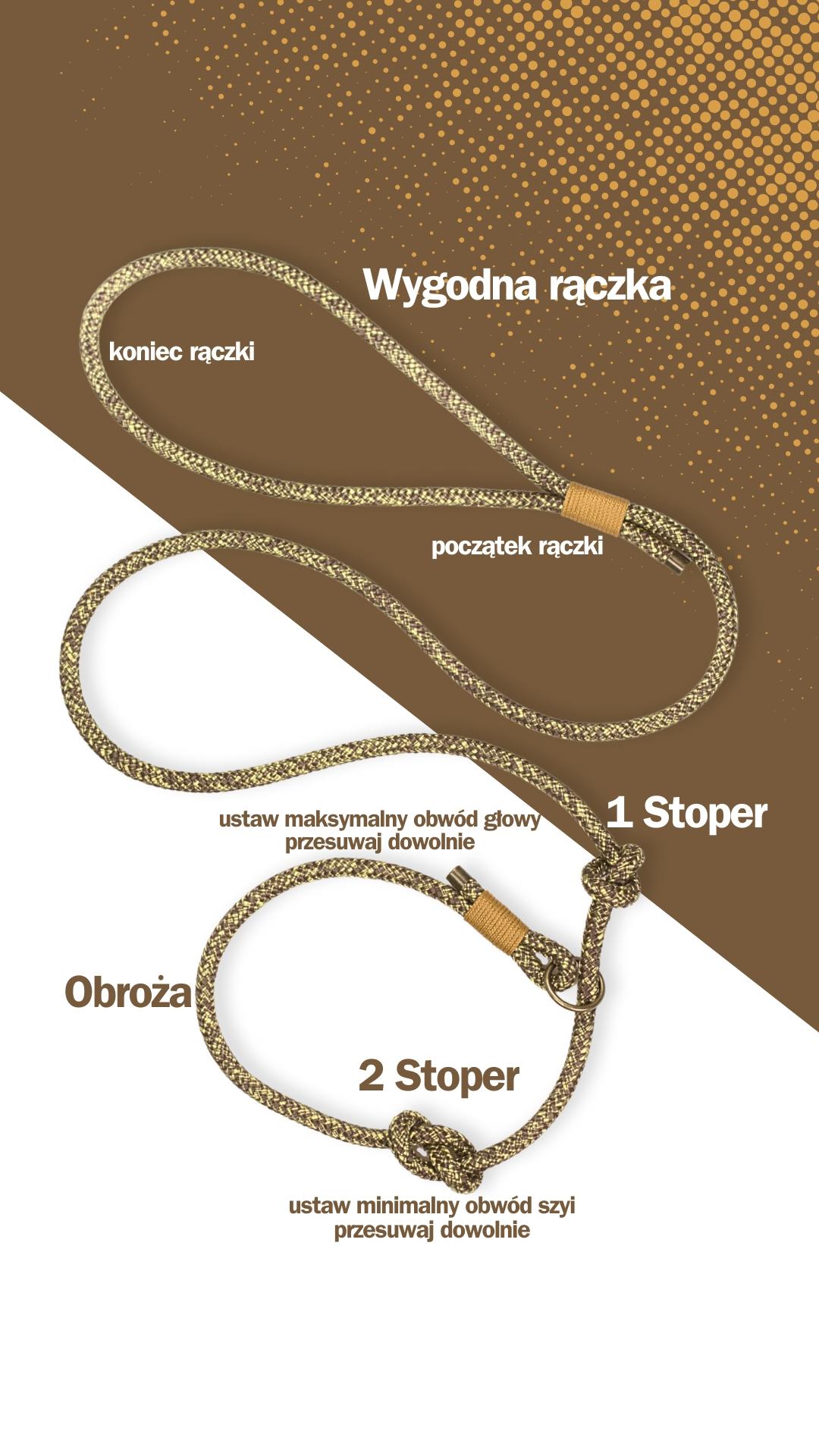 Smycz treningowa behawioralna Rusty Gold